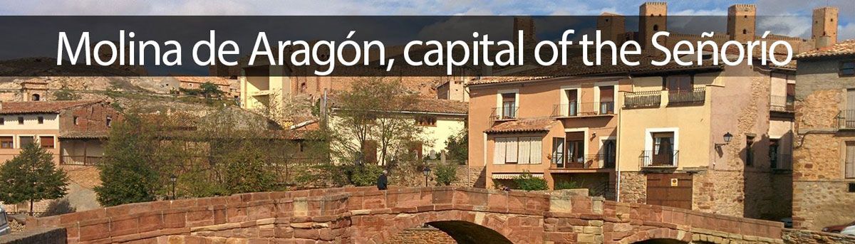 Guided Tours Molina de Aragon
